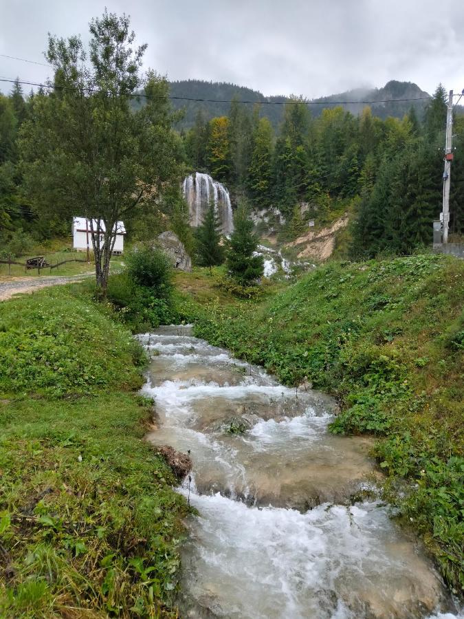 Deea Cascada Villa Vidra  Bagian luar foto